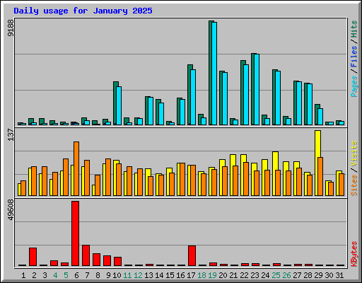 Daily usage for January 2025