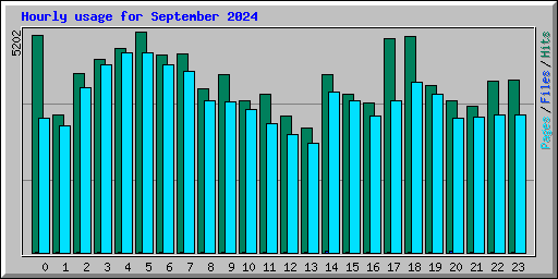 Hourly usage for September 2024