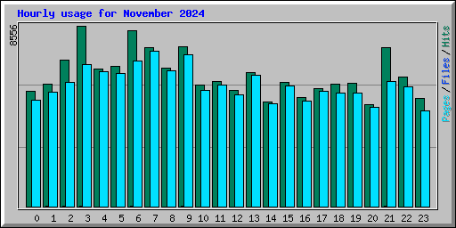 Hourly usage for November 2024