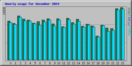 Hourly usage for December 2024