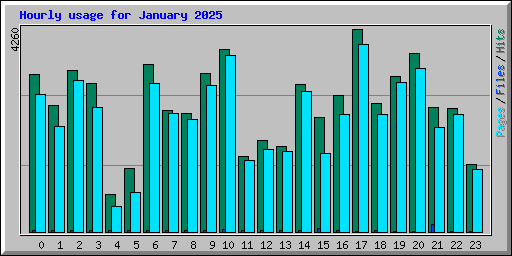 Hourly usage for January 2025
