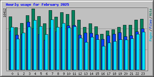 Hourly usage for February 2025
