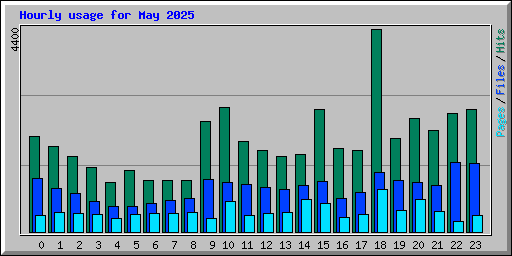 Hourly usage for May 2025