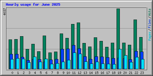 Hourly usage for June 2025