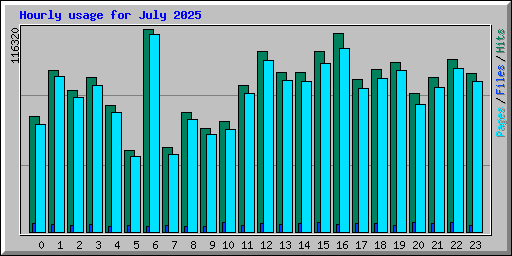 Hourly usage for July 2025