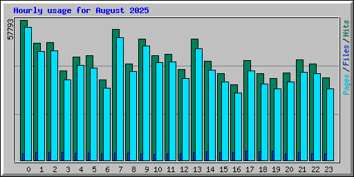 Hourly usage for August 2025